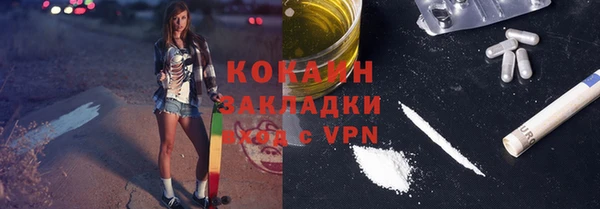 шишки Вяземский