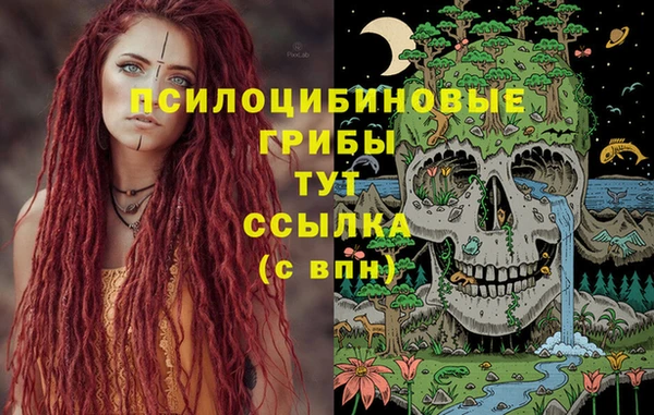 не бодяженный Кукмор
