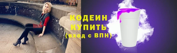 шишки Вяземский