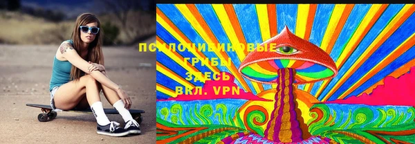шишки Вяземский