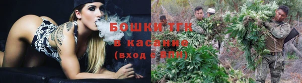 шишки Вяземский