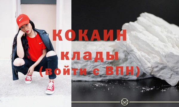 шишки Вяземский