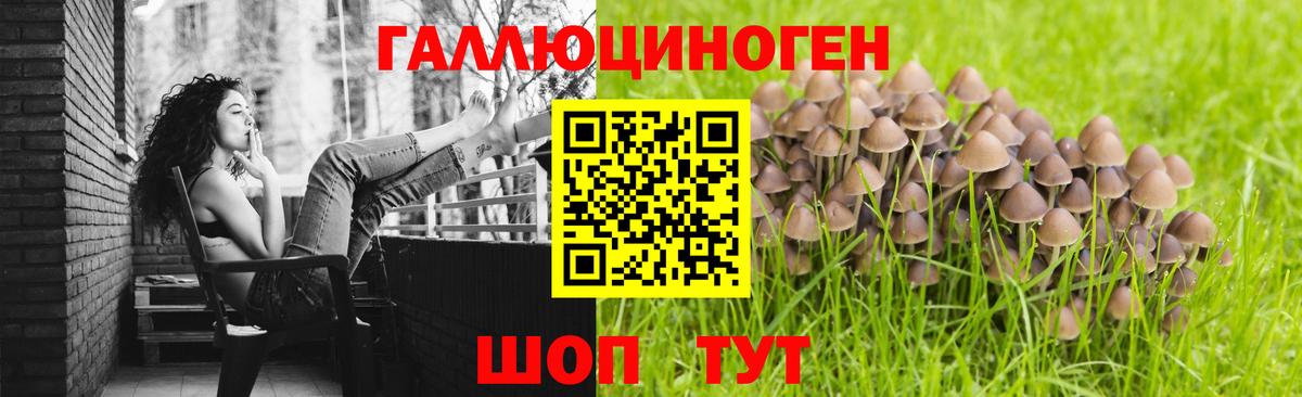 Галлюциногенные грибы прущие грибы  Назарово  Галлюциногенные грибы Magic Shrooms 